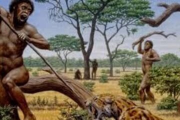 Early Humans